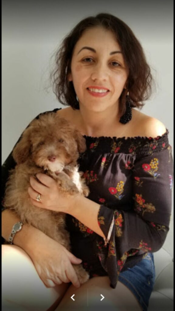 Puppies To Go Miami Puppies For Sale (305) 2627310