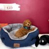 Poodle Puppies for Sale M Red #9941 - Image 3